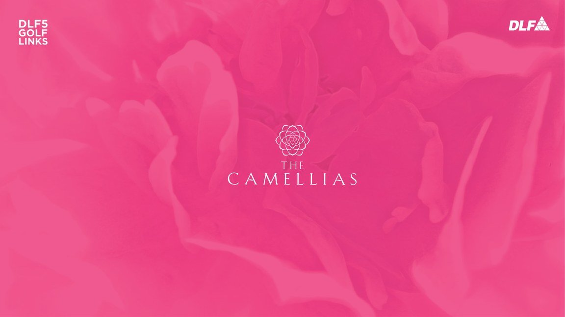DLF The Camellias