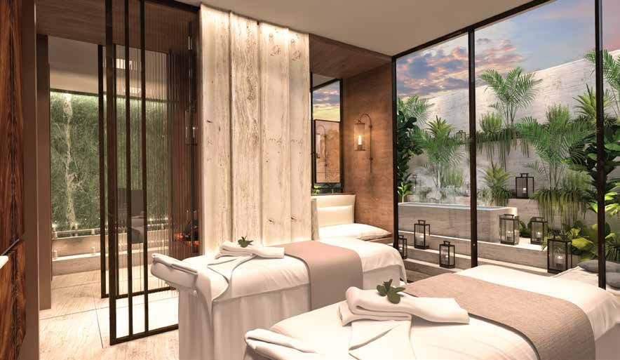 DLF The Camellias view
