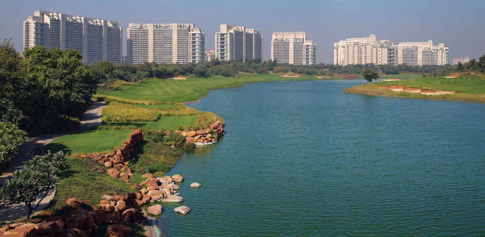 DLF The Camellias view