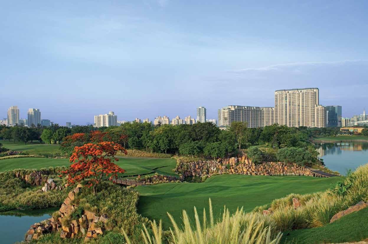 DLF The Camellias